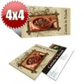 3.000 Panfletos 15X21